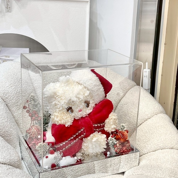 聖誕小貓永生花禮