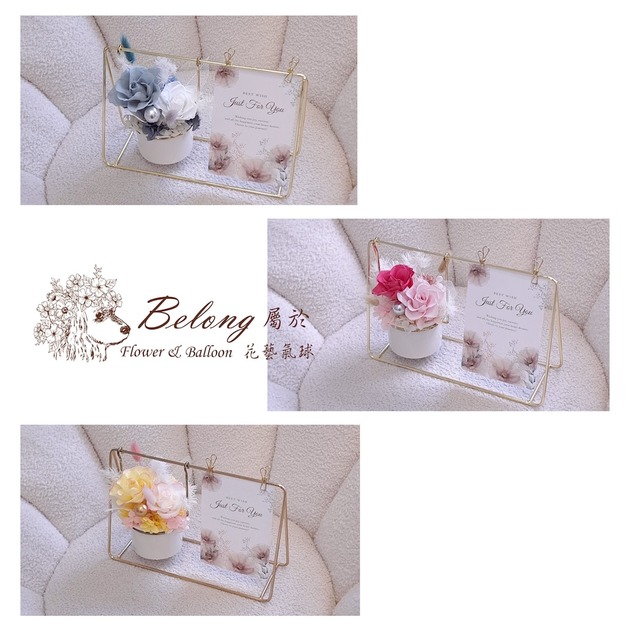 鞦韆盆花ღ永生花禮