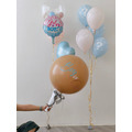 24吋拉炮性別揭曉氣球_3