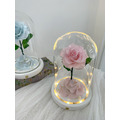 【三民現貨】小王子玫瑰花盅 粉