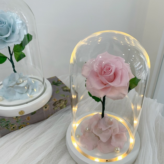 【三民現貨】小王子玫瑰花盅 粉