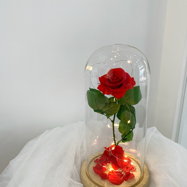 【三民現貨】小王子玫瑰花盅 紅