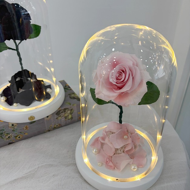 【三民現貨】小王子玫瑰花盅 紅