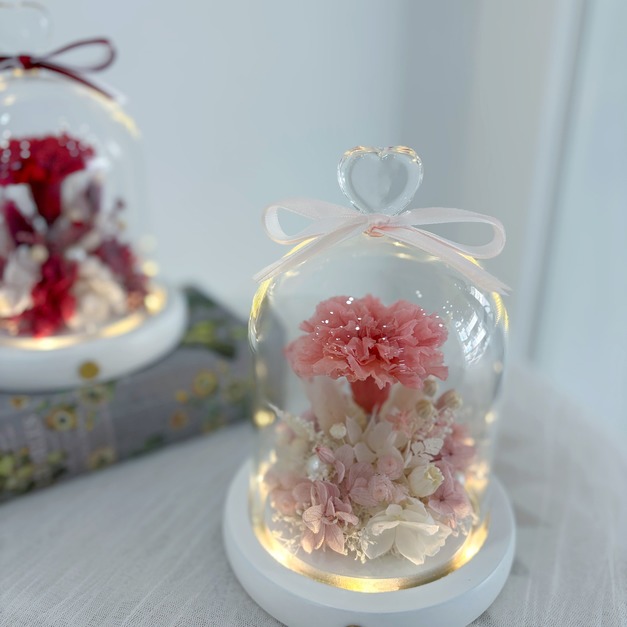 【北屯現貨】康乃馨玻璃罩 深粉