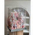 【北屯現貨】公主城堡錢錢花禮Plus版<含3500現金>_1