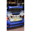 四門車 LED泡泡球B款 (此款需大型四門車款)_3