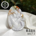 A017-3紫翡龍魚_3