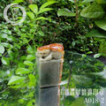 A018-2紅翡翡翠貔貅印章_1