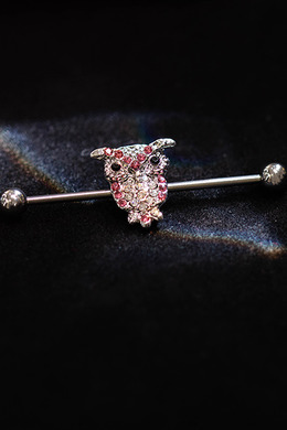 316L鋼｜閃亮貓頭鷹I型環 s2133ECA-17