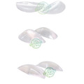 2.1cm高足弓鞋墊 足弓墊 耐重力不塌陷 透明防滑粒穩定性佳【Dr.Shoes鞋博士嚴選鞋材】_4