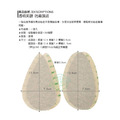 鞋博士鞋底保護貼鞋底防滑墊高跟鞋前掌防滑墊止滑墊 【Dr.Shoes鞋博士嚴選鞋材】_2