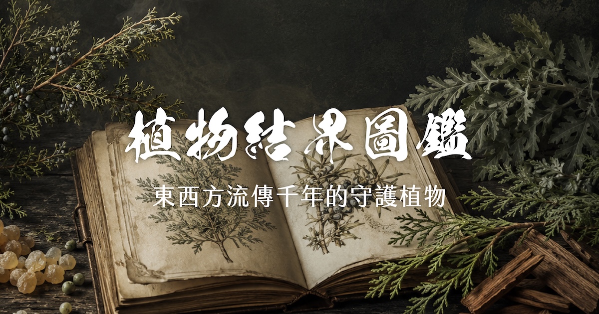 【平安月專欄】農曆七月：跨越東西方的「結界系植物」