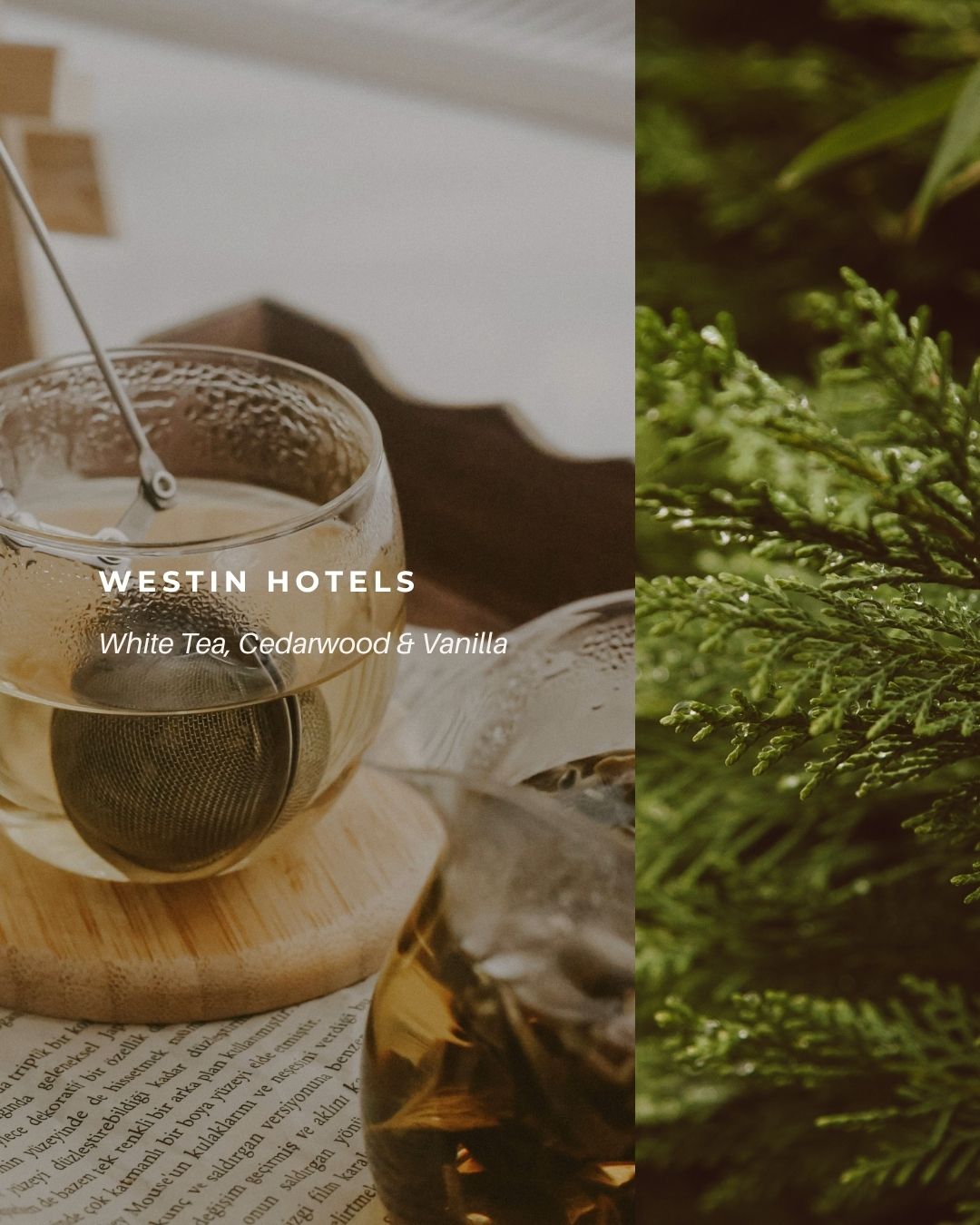 Westin Hotels 品牌香氣