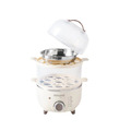 AIWA 愛華 多功能雙層蒸蛋器 AS-ZDQ14_3
