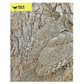 【LiveABC】How It Works知識大圖解年度特刊：驚奇萬物大圖鑑_2