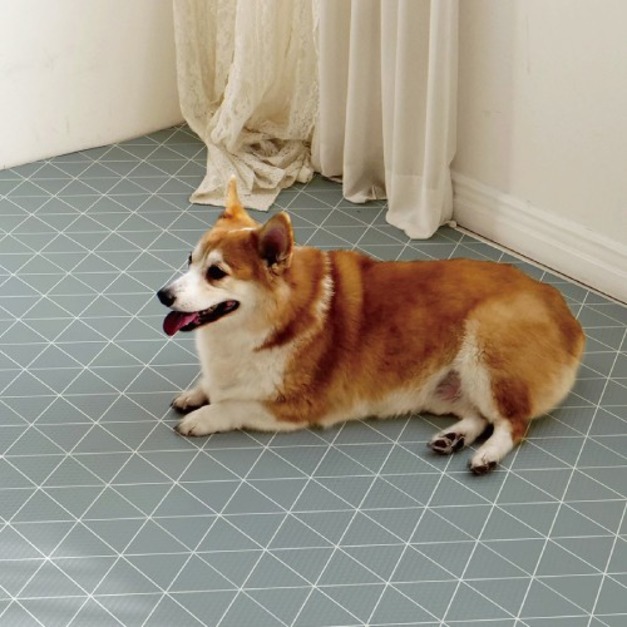 「預購5月底到貨」韓國製 dfang 迪邦 寵物降溫遊戲地墊-現代三角 (耐刮靜音)