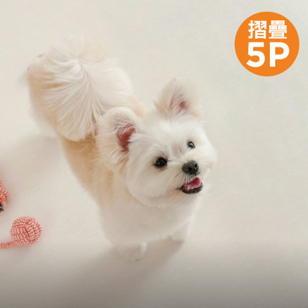 「韓國同步第三代 」 dfang迪邦 Micro Emboss 系列寵物地墊-Light Beige 亞麻棕 (摺疊5P 300x140x0.5cm)
