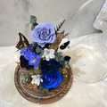 森呼吸 蝴蝶標本永生花_13