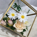 魔方 瑪格麗特永生花_2