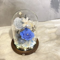 祈光花境 永生花小夜燈_1