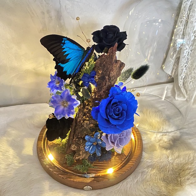 森呼吸 蝴蝶標本永生花