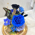 蝶語花境 永生花_9