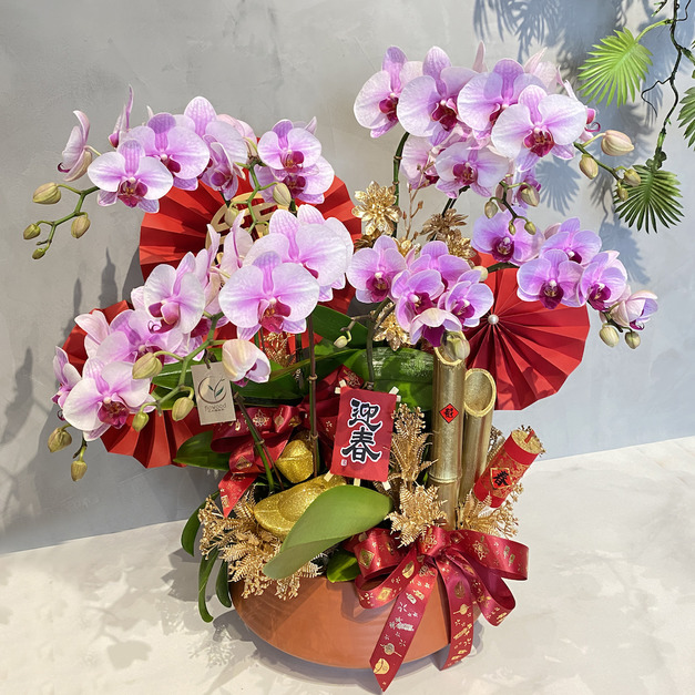 氣宇非凡蘭花盆組