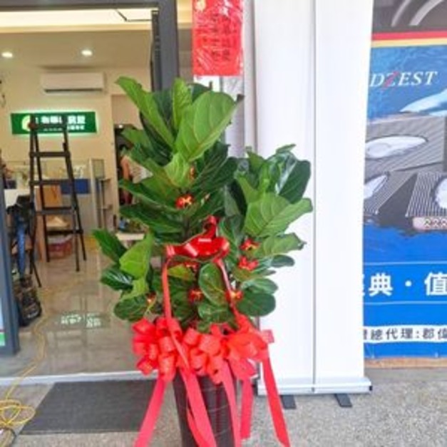 榕盛開幕・事業長青
