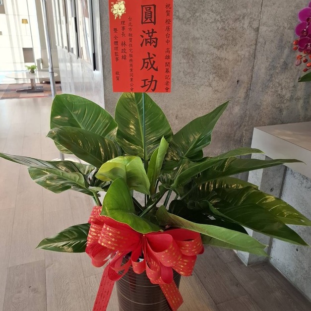 帝王納福・事業騰達