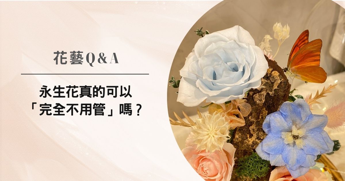 花藝Q&A｜永生花真的完全不用管嗎？正確保存方式一次懂