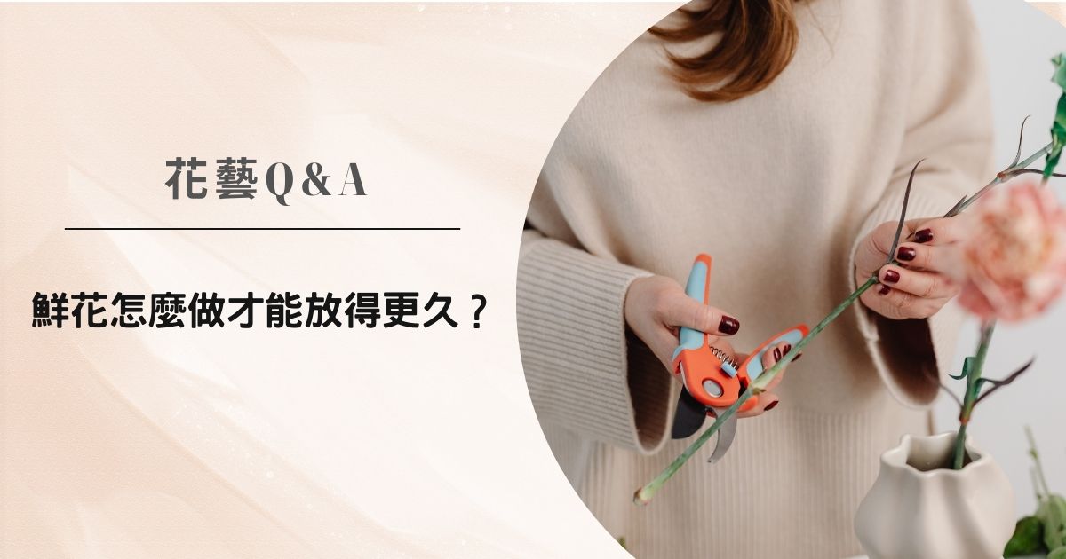 花藝Q&A｜鮮花怎麼做才能放得更久？