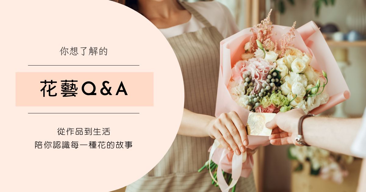 你想了解的花藝Q&A