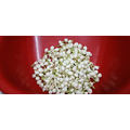 【窨香】友善環境自然農法茉莉烏龍茶一斤（600g)_3