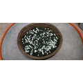 【窨香】友善環境自然農法茉莉烏龍茶 50g_3