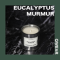 EUCALYPTUS MURMUR | 清晨桉語 - 220ml_1