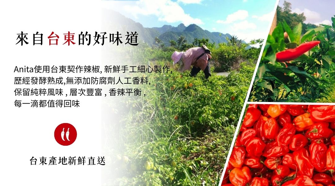 新鮮辣椒農場