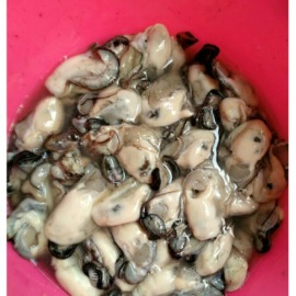 布袋養殖鮮蚵當日直送