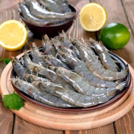 中東紅海養殖藍鑽蝦