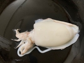 南方澳野生大花枝