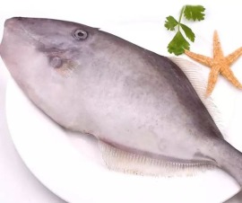 澎湖當日現撈大尾剝皮魚