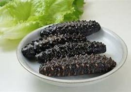 基隆當日直送大隻活海參