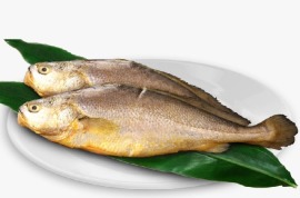 鑽石水純海水養殖大黃魚條凍(內臟及鱗片可代為處理不加價)~180元/隻-40cm~全台灣最便宜