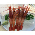 日本空(海-活)活凍牡丹蝦(非加拿大次級品)-一斤裝(活凍720、活體到府2000)_3