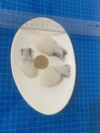 越南空運迷你花枝~極稀有!!!