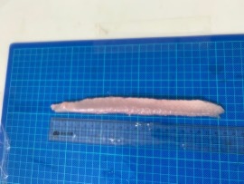 熱銷!完全無刺虱目魚條~料理好幫手(一斤裝)~孩童年長者最佳食材