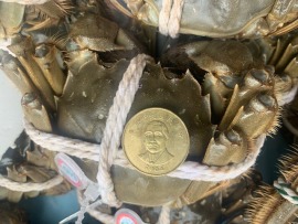 海運太湖活體大閘蟹~冷藏活體到府 B級