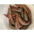 基隆當日活凍野生大劍蝦~ 全台最低價