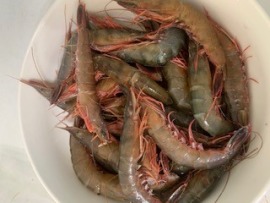 基隆當日活凍野生大劍蝦~ 全台最低價