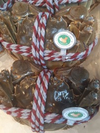 特價中 全台最便宜!!正宗陽澄湖大閘蟹 海運活體冷藏到府(季節限定) 每隻足7.5兩 滿滿蟹膏