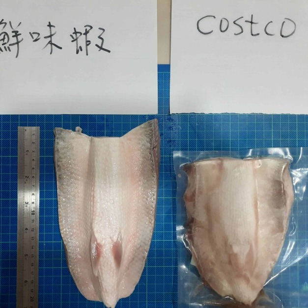 賠售!!全世界最大虱目魚肚，台南七股無毒養殖漁民當日直送